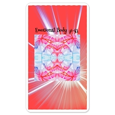 Playing Cards